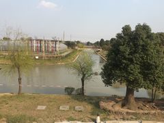 -上海多利农业发展有限公司