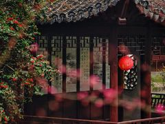 -秋霞圃