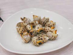 花螺-光兴海鲜排档·小炒(莱利园店)