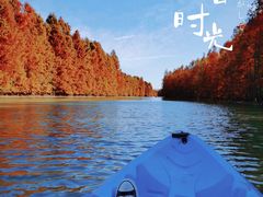 -上海海湾国家森林公园