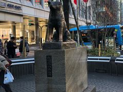 -涩谷区