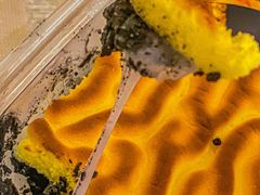 -纯坊佳哥手作(江汉路店)