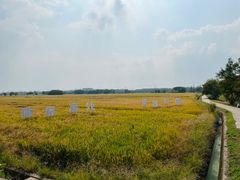 -嘉北郊野公园