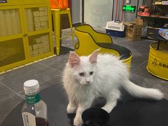 -不倒翁实景剧情密室逃脱(光明凤凰城站店)