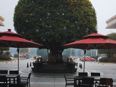 -成都安仁福朋喜来登酒店