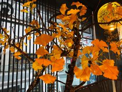 -京华烟云·北京烤鸭(领展购物广场·中关村店)