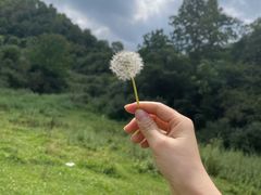 -狮子沟牧场