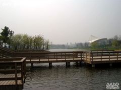 -新江湾城公园