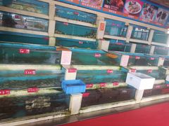 水产区-旺富东海大酒楼(海鲜街店)