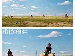 -希拉穆仁草原