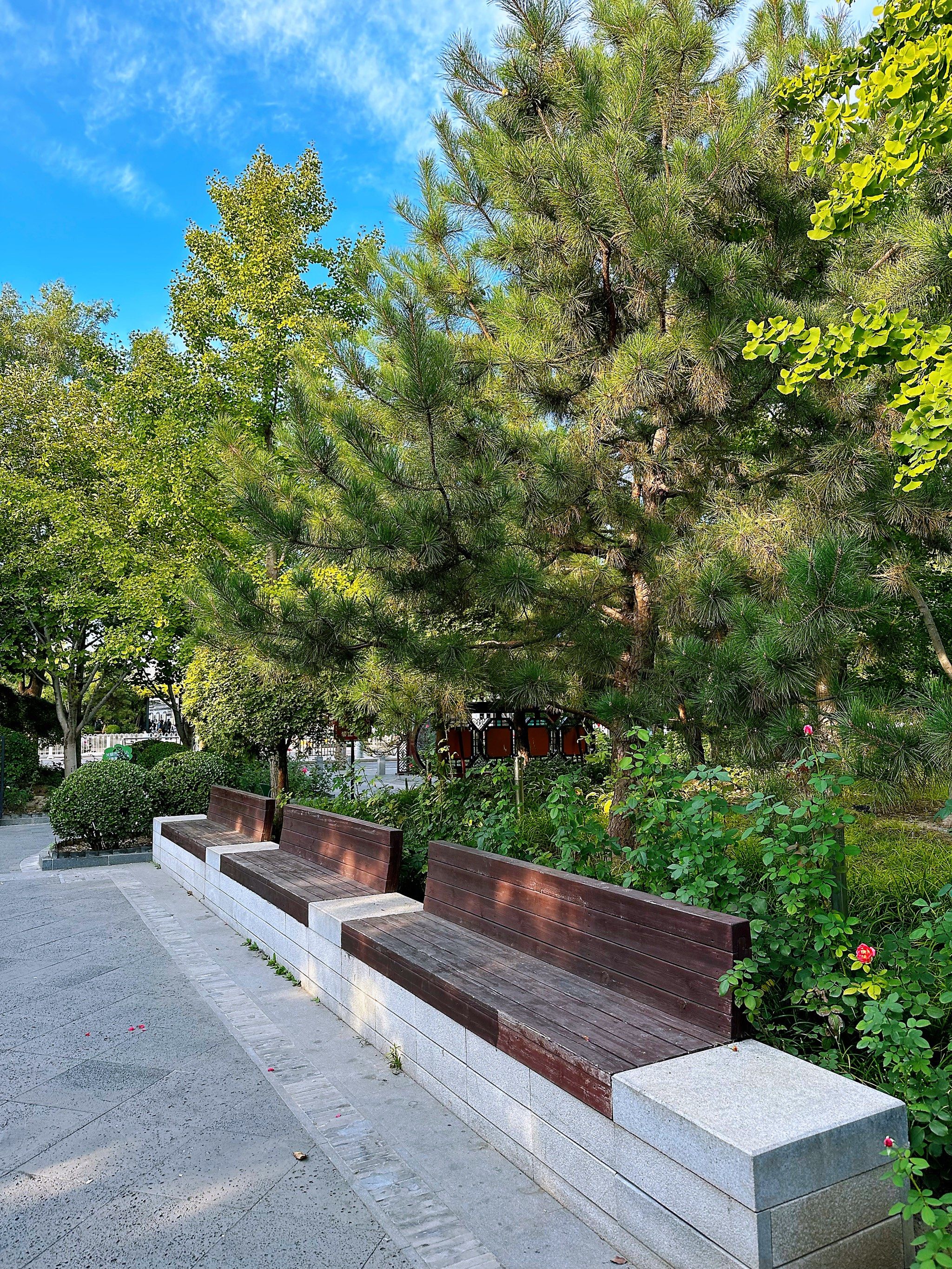 非常非常非常小的街角花园
但天气好呀