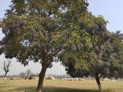 -汉长安城未央宫国家考古遗址公园