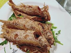 -徐州老菜馆(中枢街店)