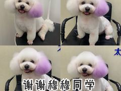 -太原东方动物医院(小店分院)