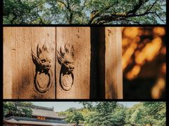 -阿育王寺