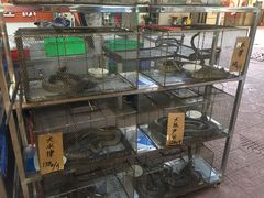 -祈胜邨•顺德鱼生•顺德菜(容桂店)