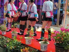 -喜鹊音乐酒馆(西街店)