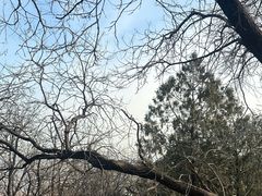 -阳台山自然风景区