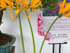 -杭州植物园