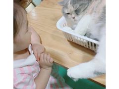 -藦茜花园宠物主题亲子互动体验馆(国顺东路店)