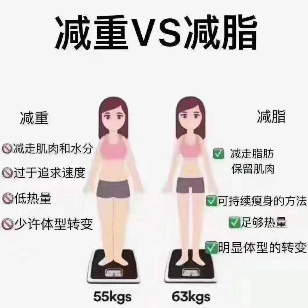 同体重不同体脂图片