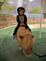 -萌宠亲子动物乐园(槐房万达店)