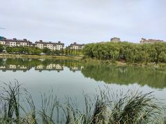 -马家湾湿地公园