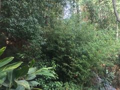 -南诏风情岛