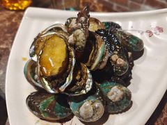 -潮庭·大连海鲜·炭火烧烤·扇贝王(大连店)