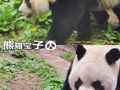 -黔灵山公园