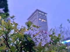 -大河锦悦酒店-锦悦中餐厅