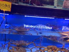 -阿伟海鲜楼·福建菜(延寿店)