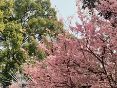 -南山植物园