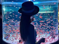 -海合安成都极地海洋公园