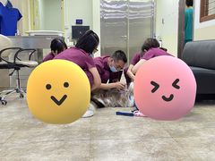 -美联众合动物医院·24h转诊中心