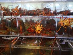 -海上人家The Sea Food Paradise Restaurant & Bar