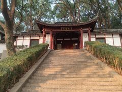 -上海佘山国家森林公园天马山园