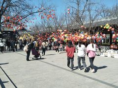 -祥源·阜阳生态乐园