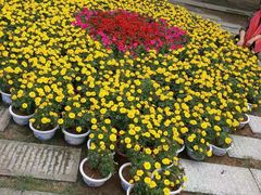 -常德桃花源景区