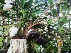 -北马山庄植趣咖啡