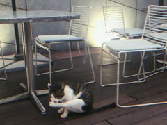 -UNI UNI(环亚凯瑟琳店)