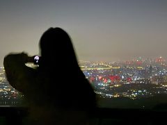 -紫金山山顶公园