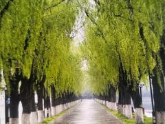 -北陵公园