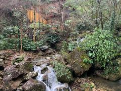 -宁海森林温泉