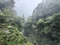 -莫干山风景区