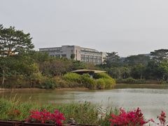 -福田红树林生态公园