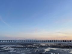 -宝安西湾红树林湿地公园