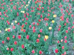 -长春公园(普阳街道)