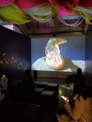 -恐龙探索乐园(磁器口店)