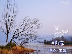 -西昌邛海湿地